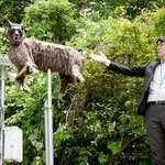 　ファミリーマート日野屋黒保根店の脇に設置した、野生動物撃退装置「モンスターウルフ」＝２４日午前、群馬県桐生市