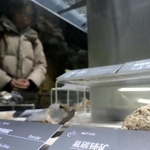 　北京市内の博物館で展示されているレアアースが含まれた鉱物＝１月（共同）