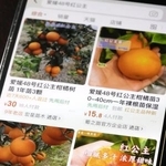 　中国大手通販サイトで販売されている「紅プリンセス」の名前をうたった苗木（共同）