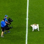 　サッカーＷ杯のエジプト戦後、ピッチにあおむけになるイランのハリルザデ＝２６日、米シアトル（ゲッティ＝共同）