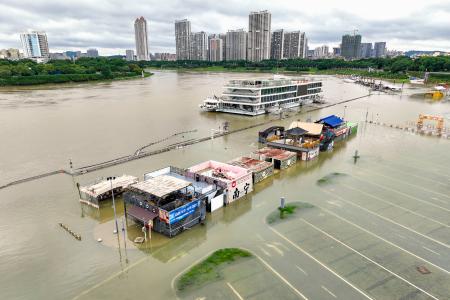 豪雨でヘビ900匹脱走、中国|全国海外|神戸新聞NEXT