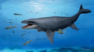 　海洋爬虫類モササウルス類の復元図（（Ｃ）川崎悟司）