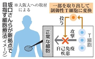 　坂口さんらが新拠点で目指す細胞療法（イメージ）