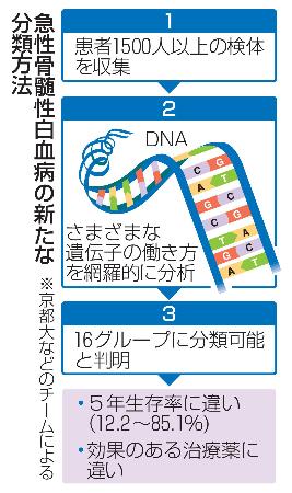 　急性骨髄性白血病の新たな分類方法
