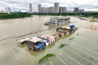 豪雨でヘビ900匹脱走、中国|全国海外|神戸新聞NEXT