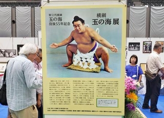 名古屋場所で「横綱玉の海展」|全国海外|神戸新聞NEXT