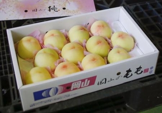 　「清水白桃」＝１４日午後、岡山市