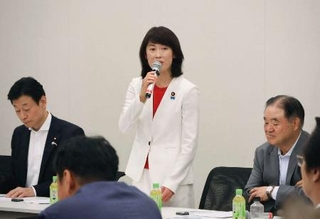 　超党派の水泳議員連盟の設立総会であいさつする丸川元五輪相＝１６日、国会