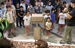 　鹿児島県奄美市の「奄美大島世界遺産センター」で開催された館内ツアー＝２６日午前