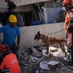 　２９日、地震の生存者を捜索するトルコからの救助隊＝ベネズエラ・ラグアイラ（ＡＰ＝共同）