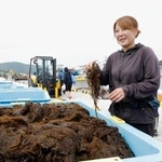 　水揚げされたモズクを持つ「輪島の海女漁保存振興会」の門木奈津希会長＝１日午前、石川県輪島市の輪島港