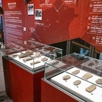 　台湾・台南市の博物館で、鳥居龍蔵が採集した石器を見る来場者＝１日（共同）