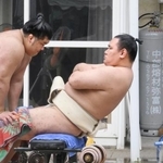 　筋力トレーニングをする豊昇龍＝名古屋市の立浪部屋宿舎