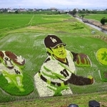 　米大リーグ、ドジャースの大谷翔平選手と愛犬デコピンを描いた「田んぼアート」＝４日午前、岩手県奥州市