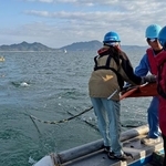 　愛媛県上島町の沖合で、海面に探査装置を延ばす産総研の研究員ら＝２０２５年１１月（産総研提供）