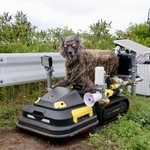 　野生動物の侵入を防ぐため北海道の釧路空港に本格導入された自走式の撃退装置「モンスターウルフ」＝１３日午前