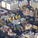 　東京大本郷キャンパス。中央右上は安田講堂＝２０２３年１２月、東京都文京区