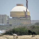 　クダンクラム原発＝２０１７年７月、インド南部タミルナド州（共同）