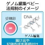 　ゲノム編集ベビー　法規制のイメージ