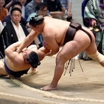 　豊昇龍がすくい投げで平戸海を下す＝ＩＧアリーナ