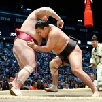 　豊昇龍が押し出しで大栄翔を下す＝ＩＧアリーナ