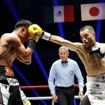 　ＷＢＡバンタム級王座決定戦　３回、比嘉大吾（左）を攻める増田陸＝両国国技館