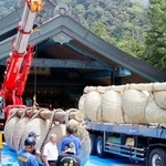 　出雲大社神楽殿の大しめ縄のかけ替え作業＝２１日午前、島根県出雲市