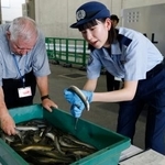 　輸入の通関手続きで、ウナギをつかんで確認する東京税関の職員。左は「丸勝」の西勝光治社長＝２２日午後、成田空港