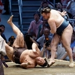 　安青錦が肩透かしで霧島を破る＝ＩＧアリーナ