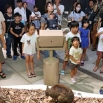 　鹿児島県奄美市の「奄美大島世界遺産センター」で開催された館内ツアー＝２６日午前