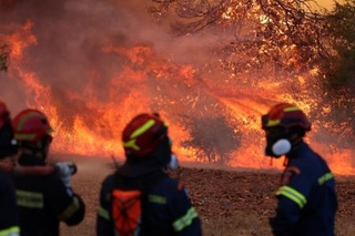 　アテネ近郊の山火事で作業に当たる消防士ら＝２日（ロイター＝共同）