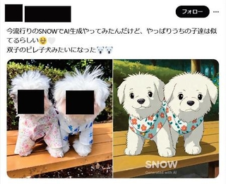 　消費者庁がステルスマーケティングに当たると確認したＳＮＳ上の投稿（同庁の資料から、投稿の一部が画像加工されています）