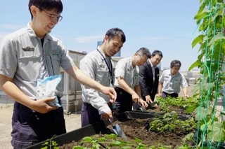 　ホップの手入れをするＪＲ東日本東京総合車両ベースの社員ら＝５月、東京都品川区