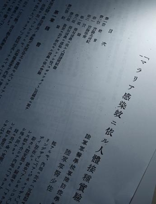 　マラリア感染実験の論文のコピー（松野誠也氏提供）