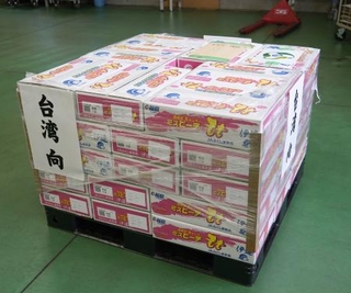 　台湾に向けた本格的な輸出が再開した福島県産のモモ＝１７日午後、福島県伊達市
