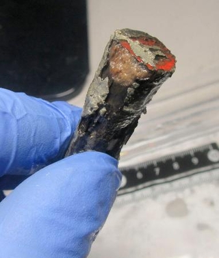 　元寇の際に沈没した船から見つかった矢の末端部分（奈良文化財研究所の国武貞克さん提供）