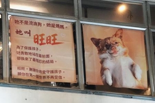 　建物の窓に掲げられた旺旺の事件について伝えるポスター＝７月、香港（共同）