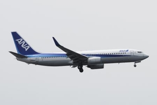 　重大インシデントを起こした全日空機の同型機