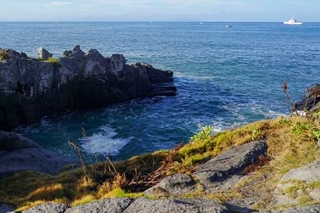 　鹿児島県いちき串木野市の「照島神社」付近の海岸＝２９日午前７時１３分
