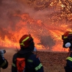 　アテネ近郊の山火事で作業に当たる消防士ら＝２日（ロイター＝共同）