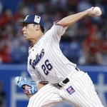 　６回無失点で９勝目を挙げたヤクルト・山野＝神宮