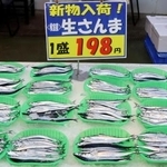 　北海道根室市の花咲港で水揚げされ、市内の鮮魚店に並ぶサンマ＝１３日午後