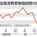 　全国消費者物価指数の推移