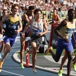 　陸上のダイヤモンドリーグ第１３戦の男子３０００メートル障害で９位の三浦龍司（中央）＝ホジュフ（ＡＰ＝共同）