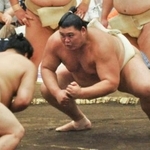 　大相撲夏巡業の朝稽古で相撲を取る大の里（右）＝千葉県流山市