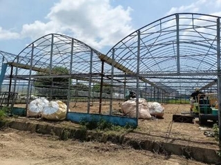 　イチゴ生産に活用するため改修された、休耕中だった農業用ビニールハウス＝愛知県豊川市