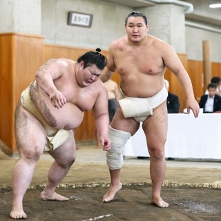 　稽古総見で汗を流す豊昇龍。左は熱海富士＝４日、両国国技館