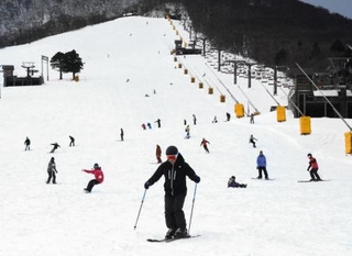 　スキーやスノーボードを楽しむ人たち＝２０２４年１２月、鳥取県大山町
