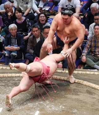 　大の里がはたき込みで大栄翔を下す＝両国国技館