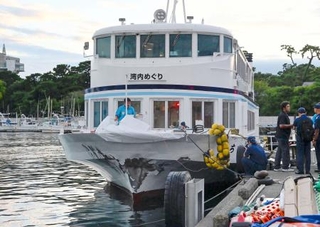 　沼津港で岸壁に衝突した遊覧船「ちどり」＝２０２５年１０月５日、静岡県沼津市